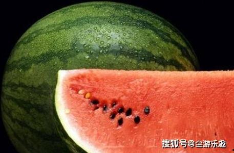 娱乐吃瓜酱西瓜,揭秘娱乐圈那些鲜为人知的瓜皮故事